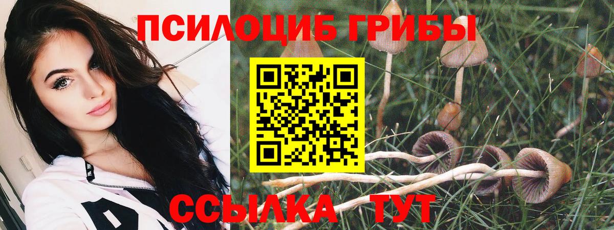 Псилоцибиновые грибы GOLDEN TEACHER Котлас