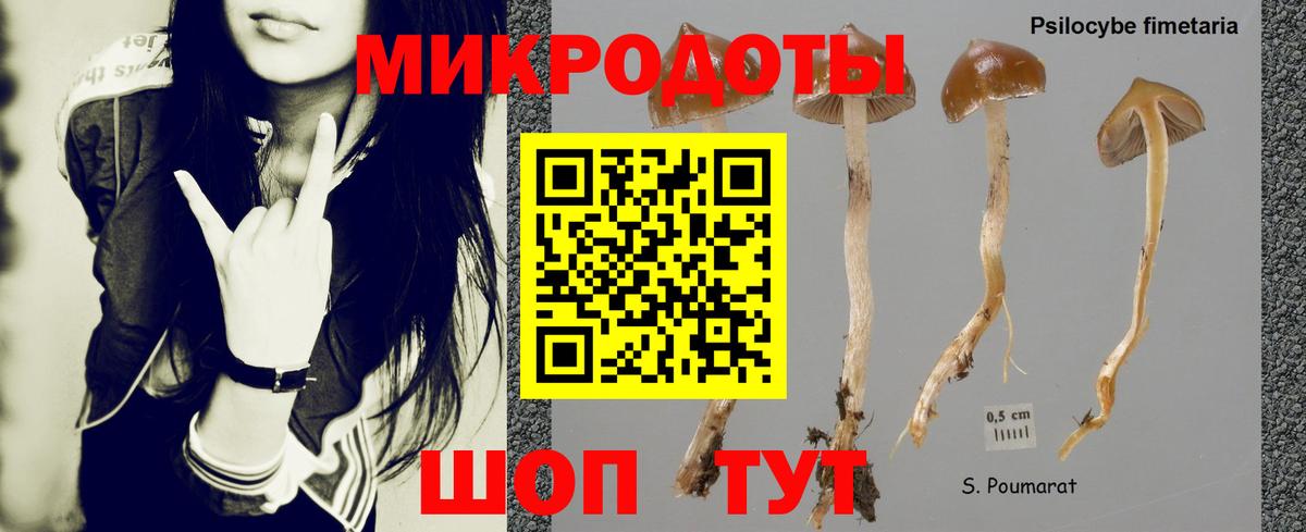 Котлас  Псилоцибиновые грибы Magic Shrooms  Вход с VPN 